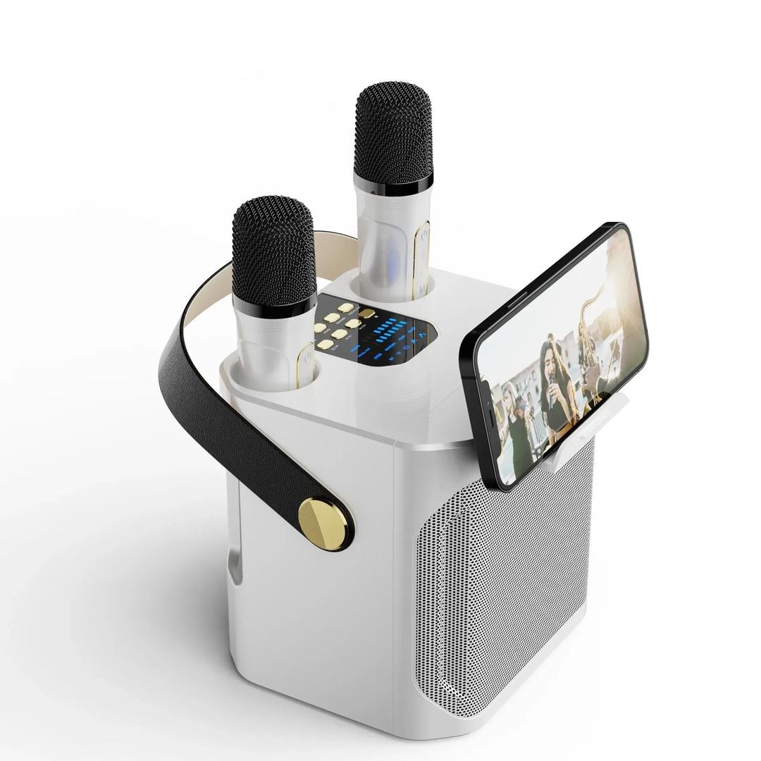 Przenośny głośnik karaoke Bluetooth z dwoma mikrofonami – widok produktu 1 | Ionotix