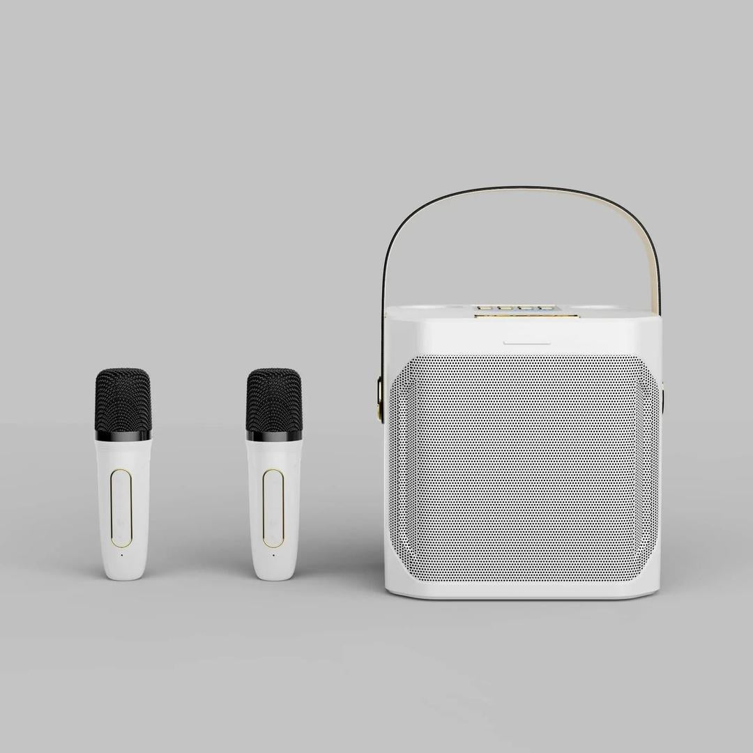Przenośny głośnik karaoke Bluetooth z dwoma mikrofonami – widok produktu 3 | Ionotix