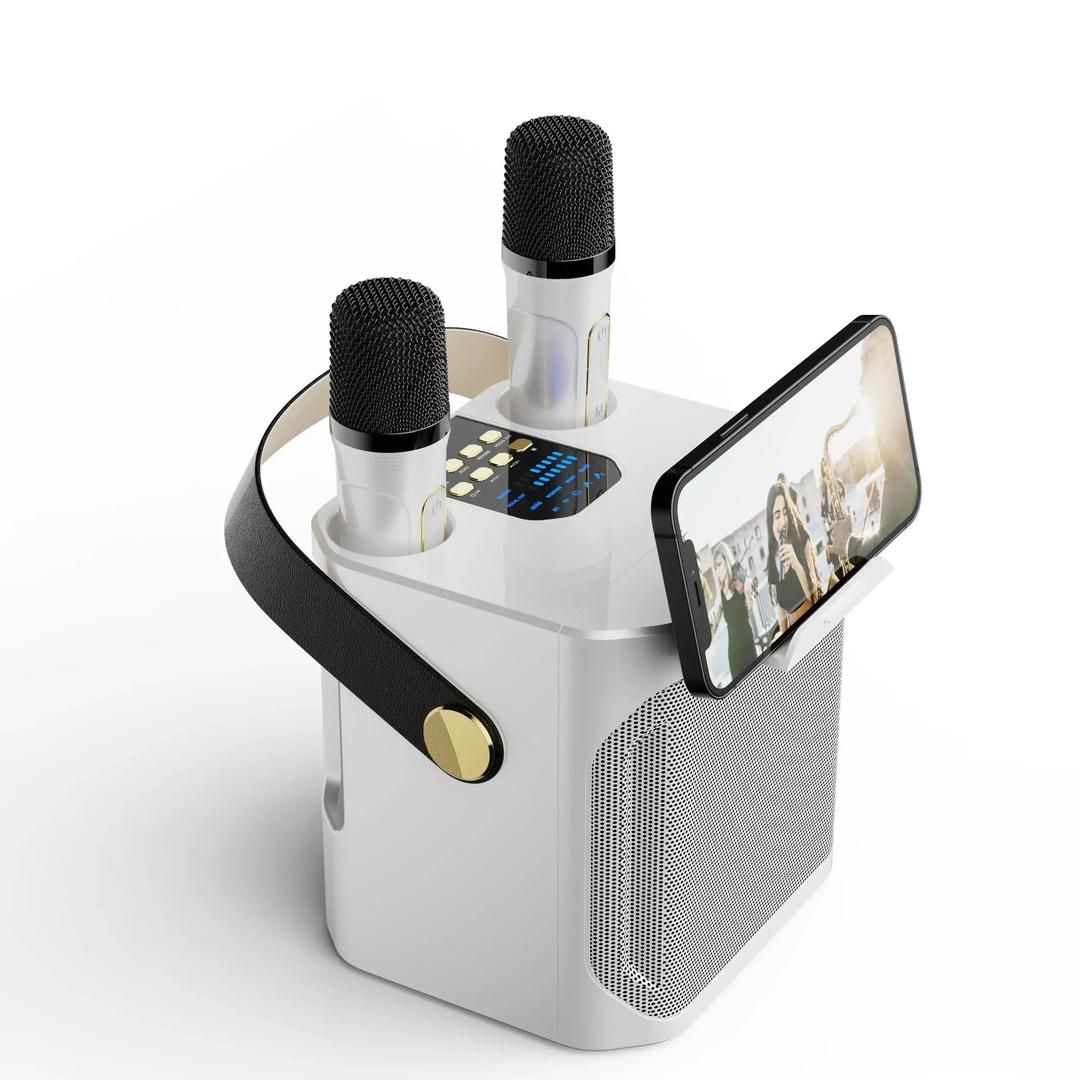 Przenośny głośnik karaoke Bluetooth z dwoma mikrofonami – widok produktu 4 | Ionotix