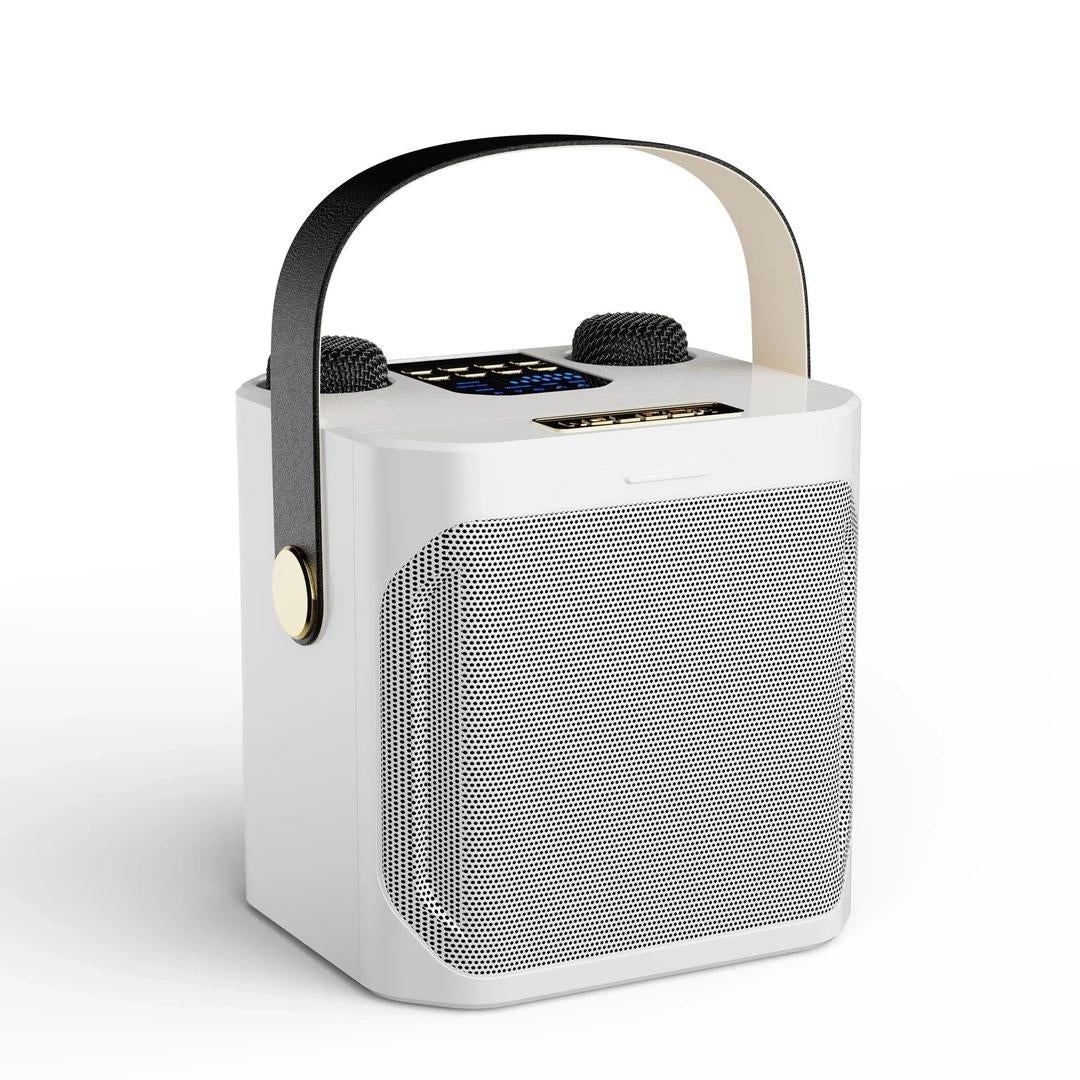 Przenośny głośnik karaoke Bluetooth z dwoma mikrofonami – widok produktu 5 | Ionotix